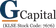 G Capital Berhad logo